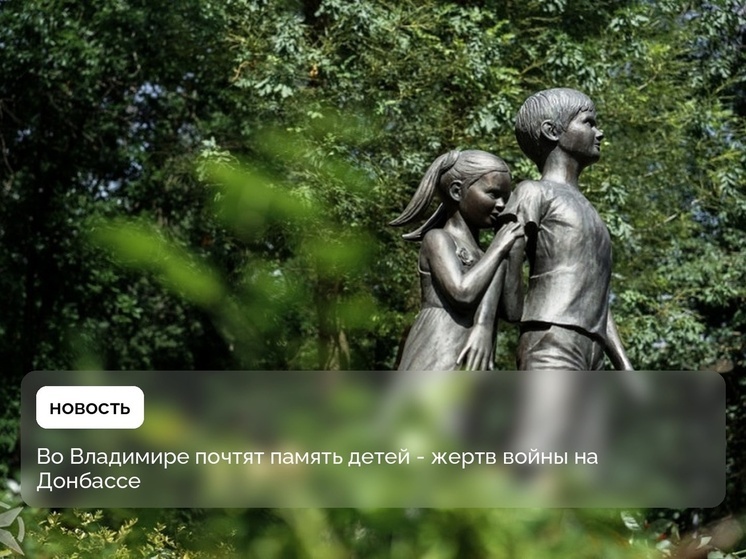 Во Владимире пройдет День памяти детей-жертв войны в Донбассе