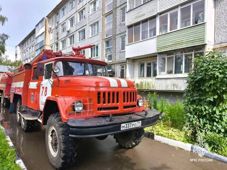 В Алексине на Соцгороде потушили возгорание в трансформаторной будке