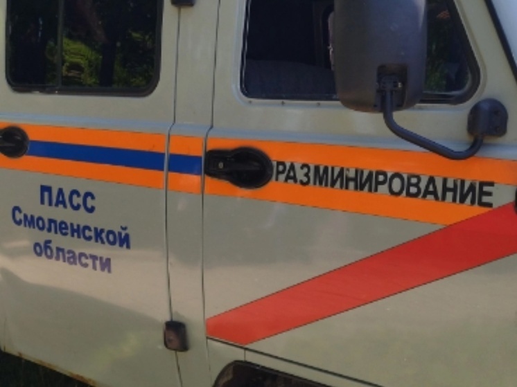 В Велижском районе обезвредили артиллерийский снаряд времен войны