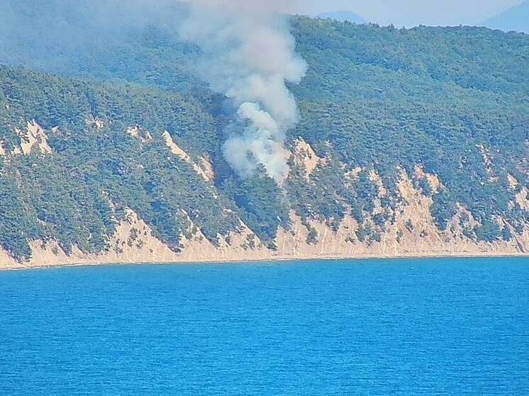Лесной пожар в районе Геленджика потушили