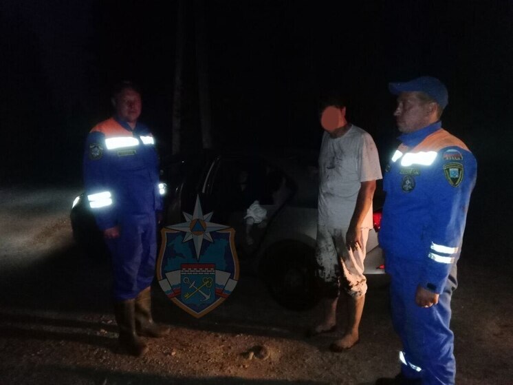 Под Приозерском ночью на лесной дороге застрял автомобиль с маленькими детьми