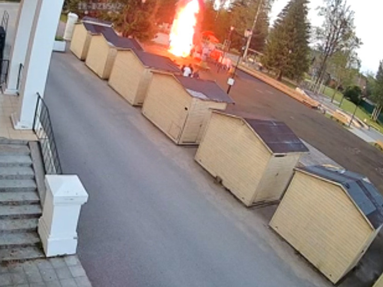 Поджигателей детской площадки во Всеволожском районе нашли и задержали