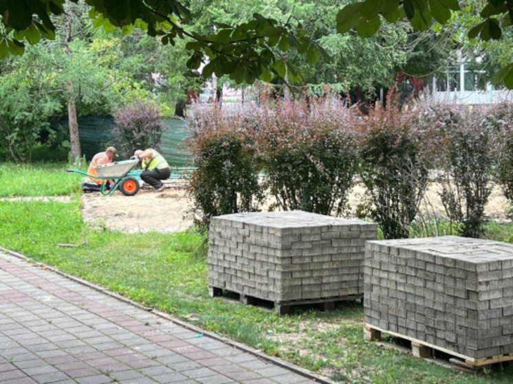 В Борисовке Белгородской области отремонтируют Центральный парк