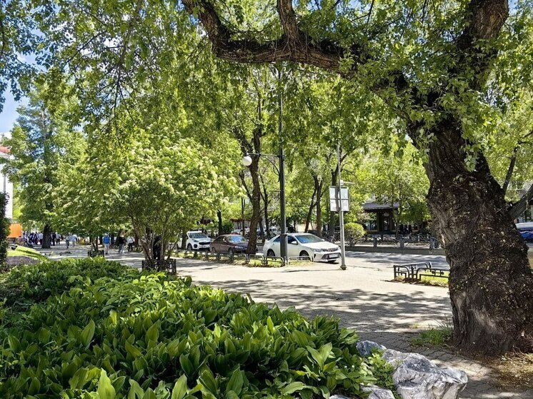 В Хакасию вернется сильная жара