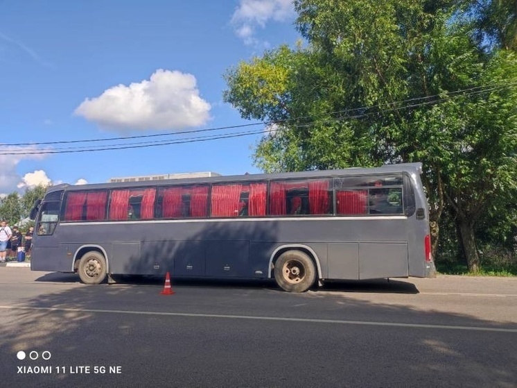 В Донском водитель пассажирского автобуса сбил 12-летнюю девочку  на переходе