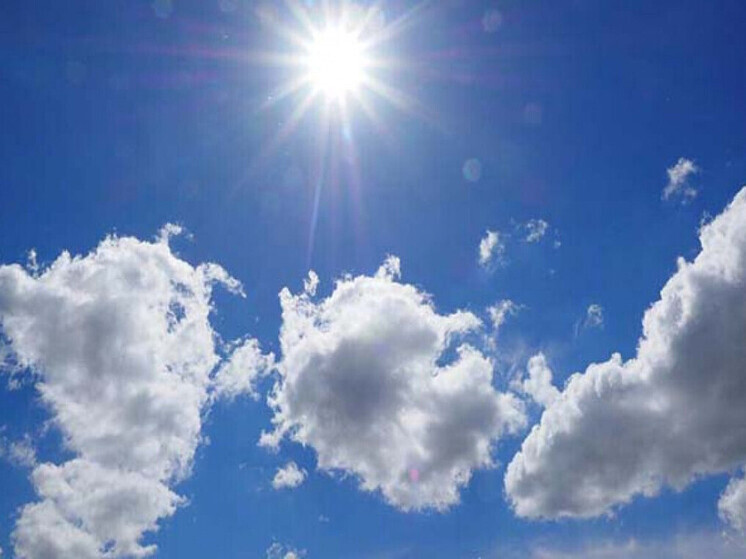 Лето возвращается: погода порадует томичей в грядущие выходные