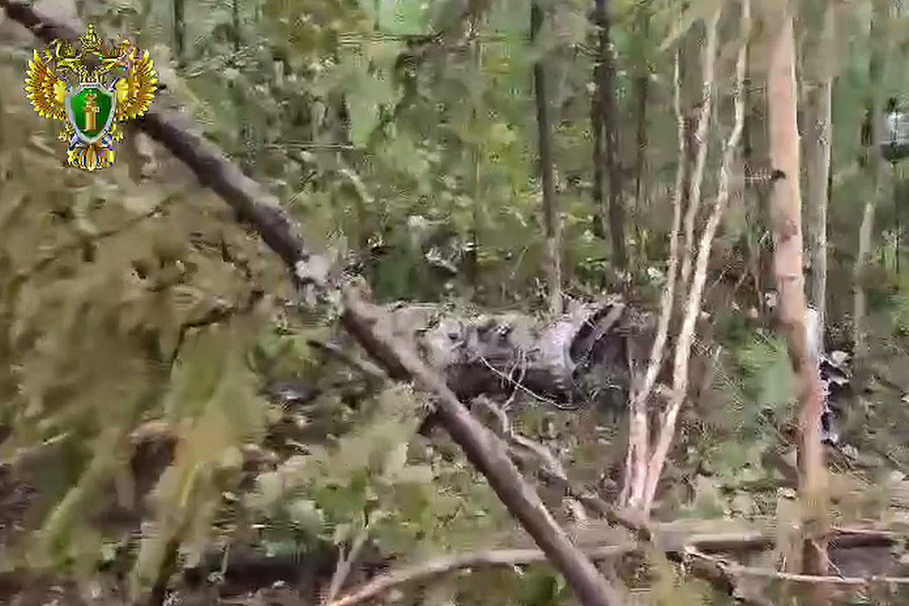 Извлечены тела погибших при крушении Ан-24 в Амурской области