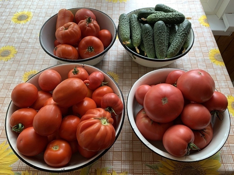 Олеся Махова назвала растительные продукты для мужского здоровья туляков