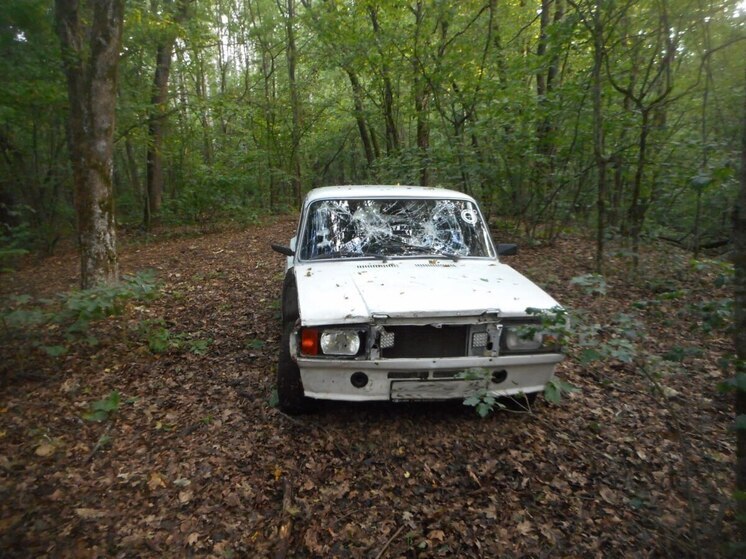 Гость из Курской области угнал с берега пруда автомобиль воронежца