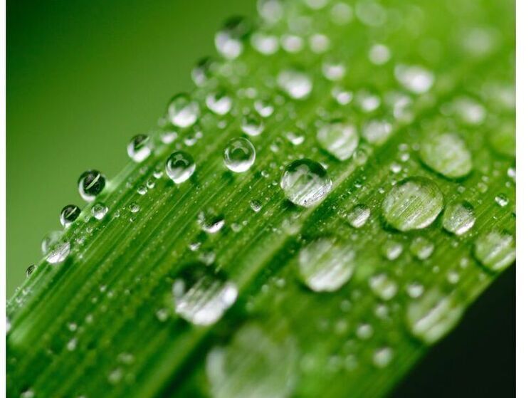 Синоптики 26 июля обещают в Смоленске переменную облачность и дожди