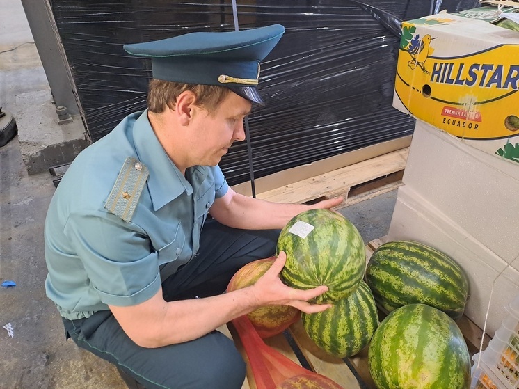 В семь раз вырос импорт арбузов и дынь на Урал