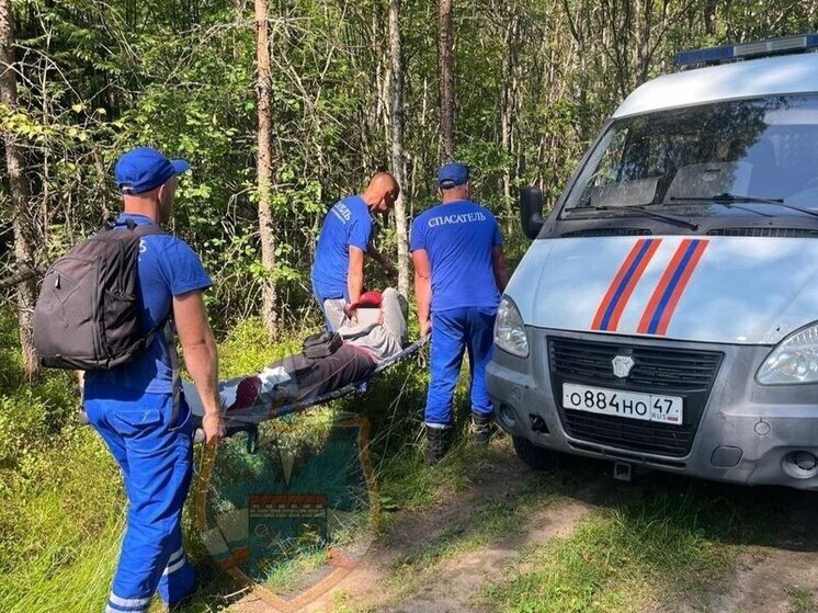 Спасатели помогли женщине, травмированной в лесу