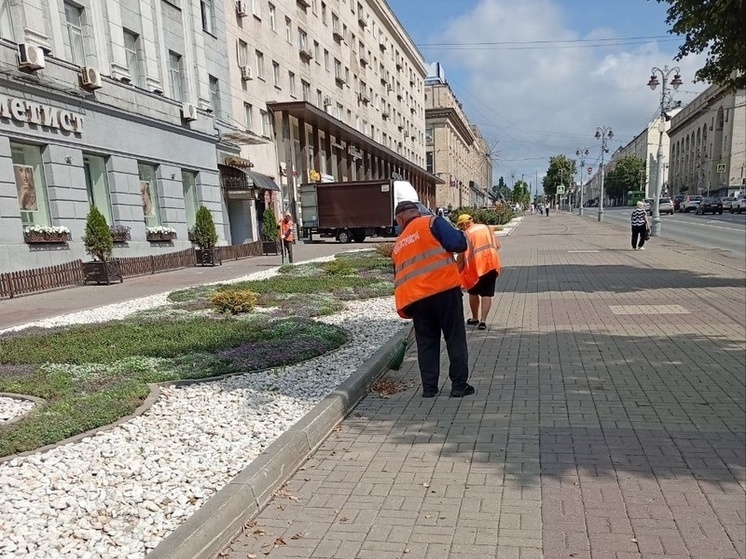 В Курске к уборке улиц подключились 64 специалиста и 57 машин
