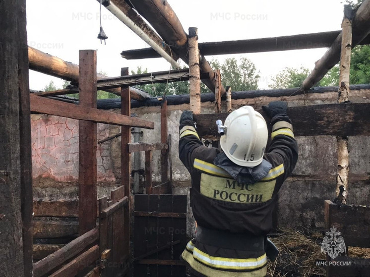 В Орловской области пожарные спасли хозпостройку от полного уничтожения
