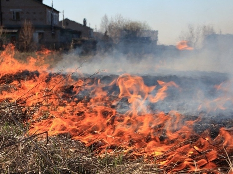 На Дону продлили штормовое предупреждение из-за чрезвычайной пожароопасности