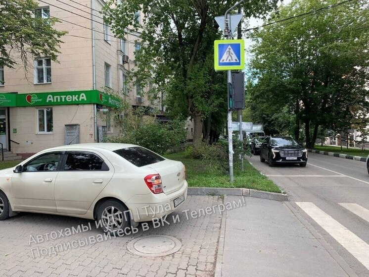 Туляк попросил ГАИ наказать автоледи за "хамство и "зебру"