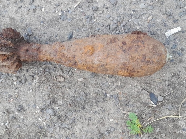 В двух районах Калужской области прогремели взрывы миномётных мин