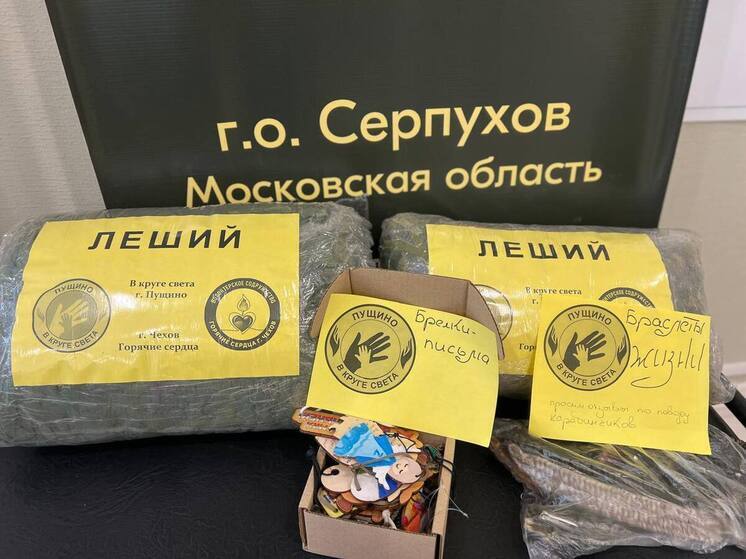 Серпуховичи собрали "гуманитарку" для военных