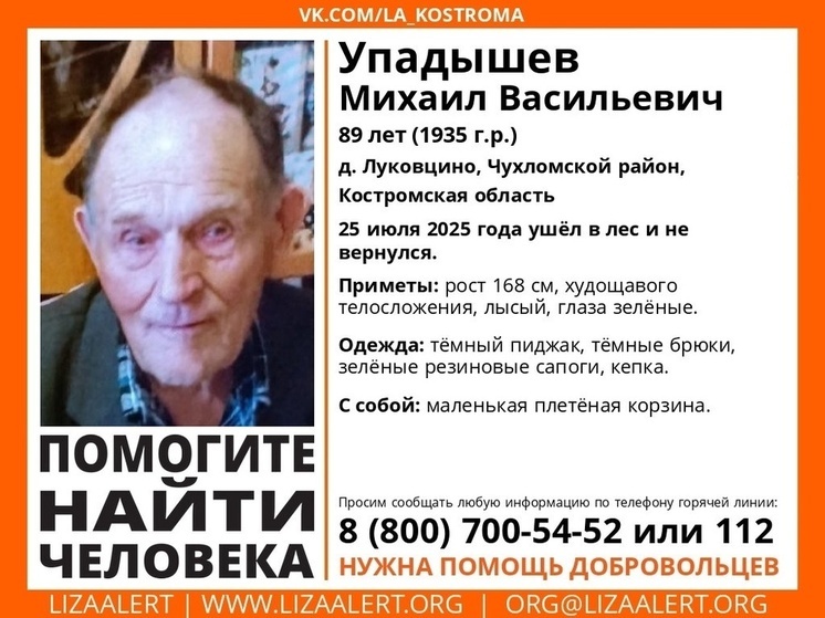 Костромской долгожитель ушел за грибами и заблудился в лесу