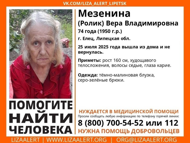 Пенсионерку в яркой блузке ищут в Липецкой области