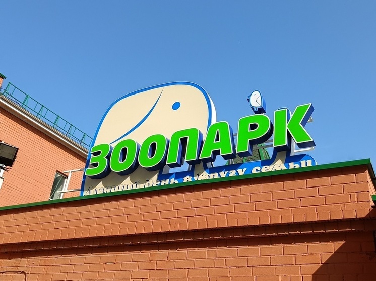 В Екатеринбургском зоопарке появились детеныши саймири