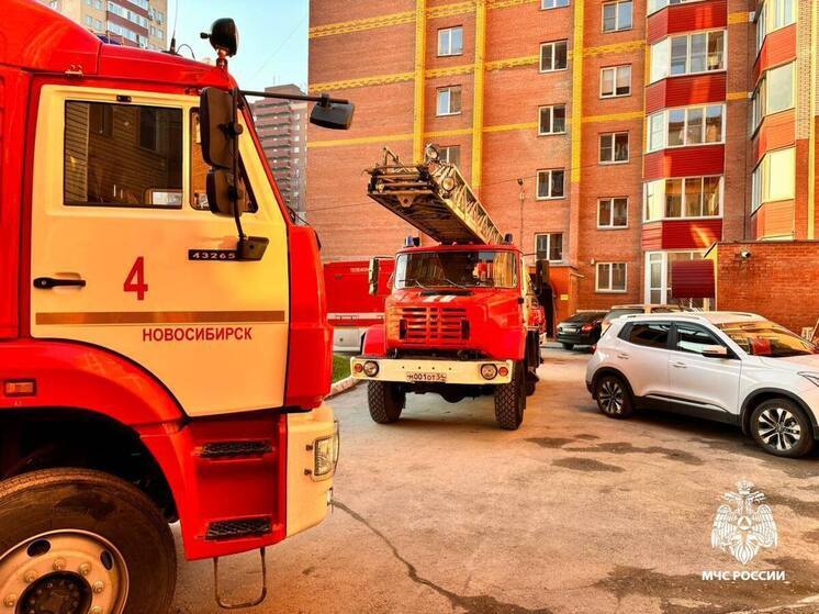 В Новосибирской области за сутки произошло 25 пожаров