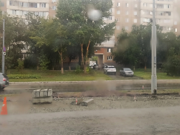 Жители Оренбурга просят не вырубать деревья на улице Чкалова
