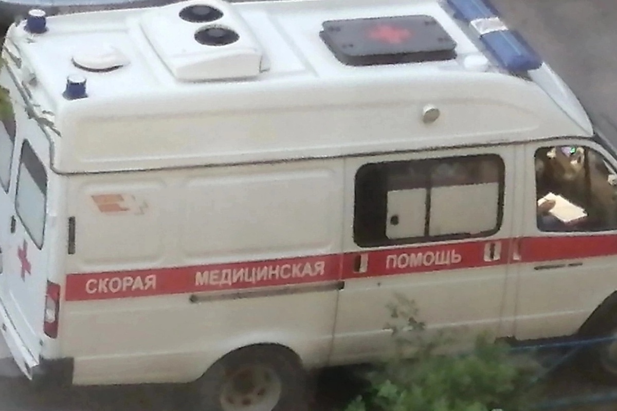 В Оренбурге ребёнка укусил ядовитый паук