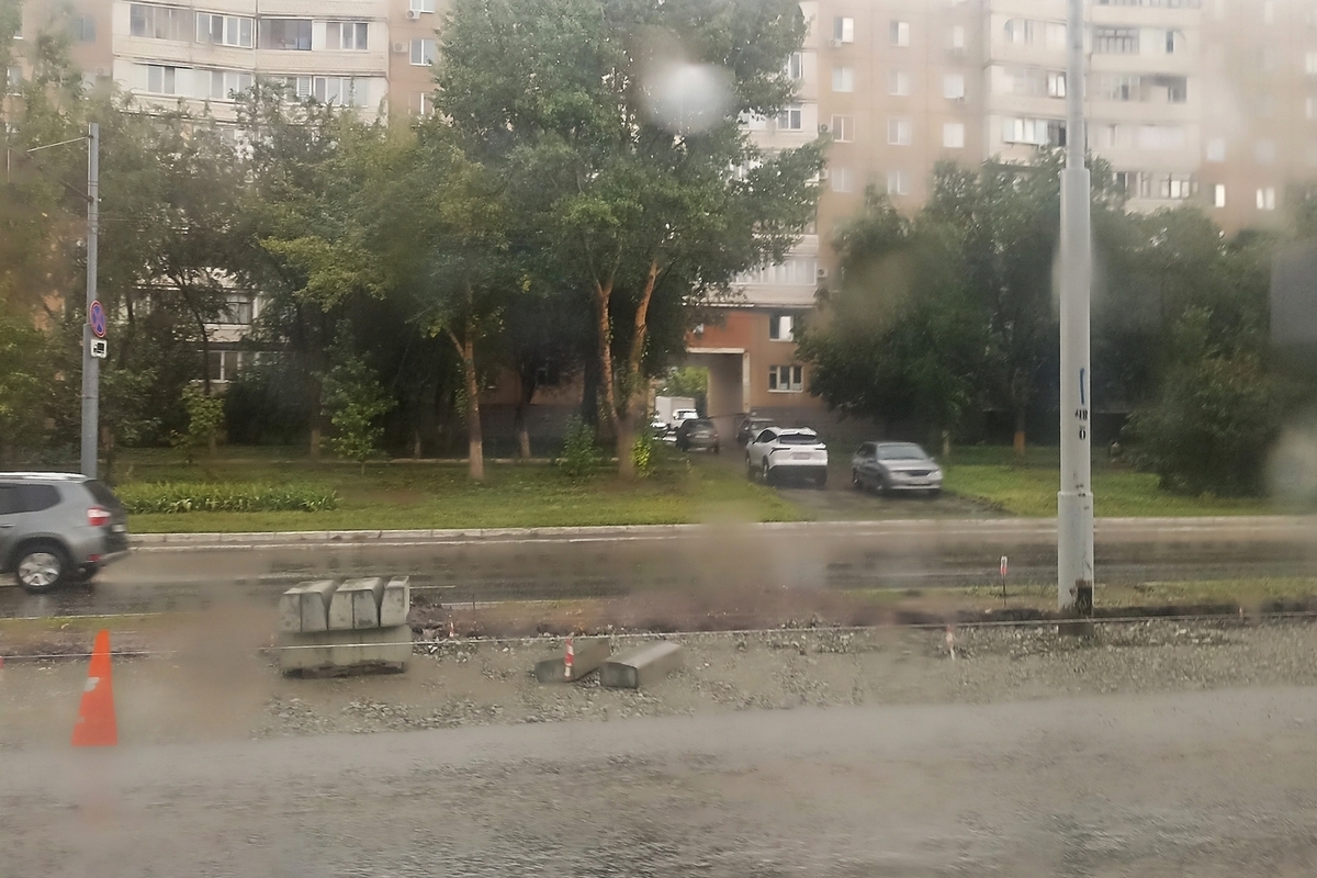 Жители Оренбурга просят не вырубать деревья на улице Чкалова