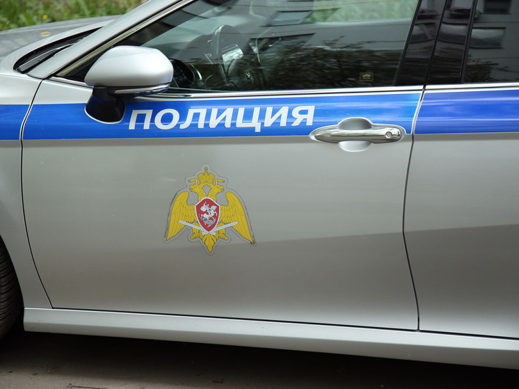 Боец смешанных единоборств Максим Камальдинов устроил дебош в аэропорту Пулково в Санкт-Петербурге, в результате чего сотрудник авиакомпании «Победа» получил перелом челюсти