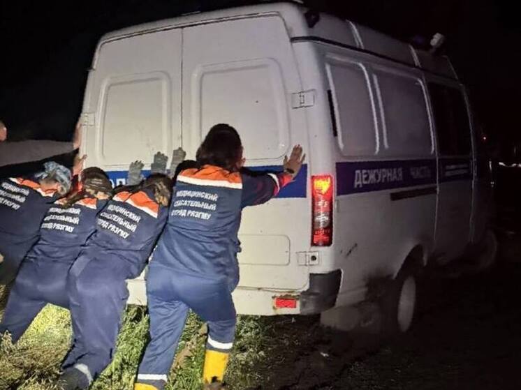 Полицейский автомобиль застрял в грязи на рязанской дороге