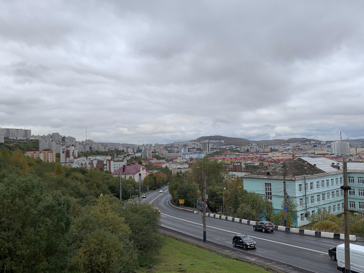 В Мурманске этим летом каждые выходные будут работать «Ряды»