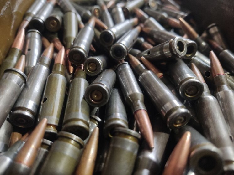 Житель Алтайского края попался на нелегальном хранении боеприпасов