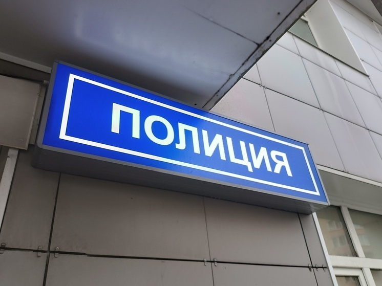 В Невской Дубровке задержали мужчину, обстрелявшего дом соседки