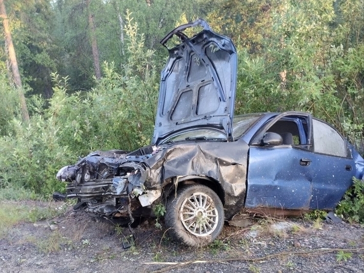 В Мурманской области за одну ночь произошло три ДТП