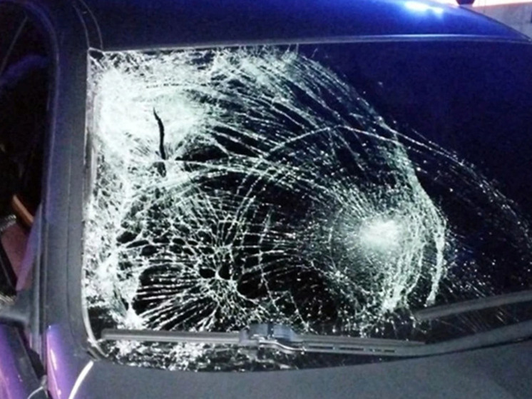 В ДНР будут судить водителя, по вине которого погиб пешеход