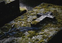 В феврале 2025 года Украинское Минобороны сообщило о запуске проекта «Контракт 18-24», который предоставляет молодым людям, не подлежащим мобилизации по возрасту, возможность добровольно служить в вооруженных силах Украины