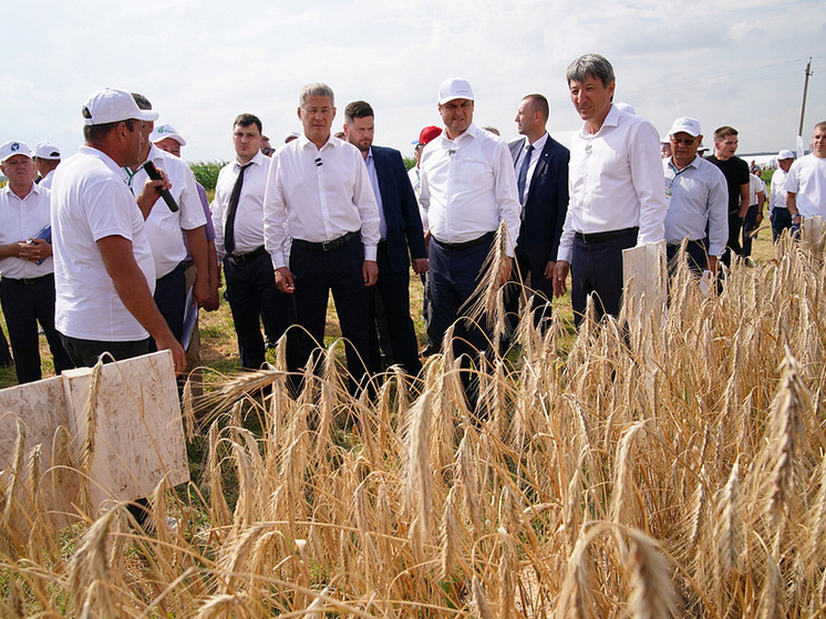 Радий Хабиров осмотрел выставку сельхозтехники
