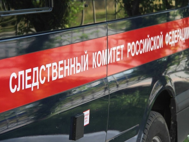 Установят личность девушки, станцевавшей на мемориале погибшим воинам в Кургане