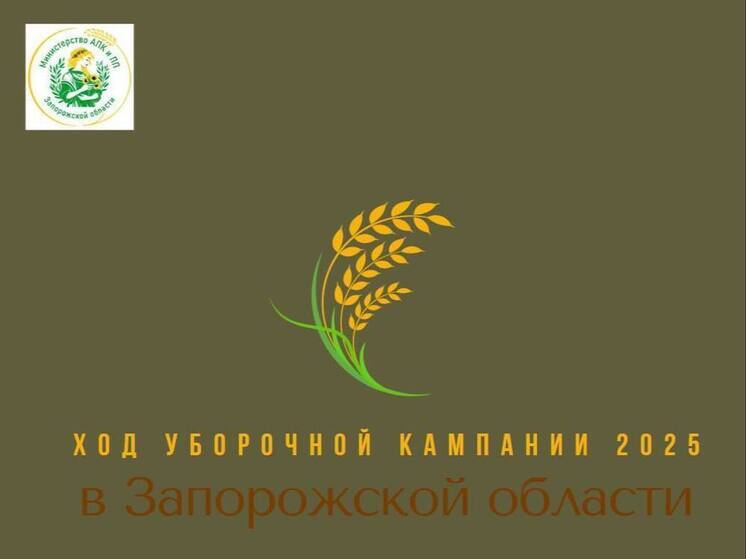 В Запорожской области собрали уже почти 50% зерновых
