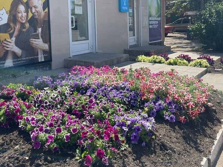 В поселке Энергетик провели проверку соблюдения правил благоустройства предпринимателями