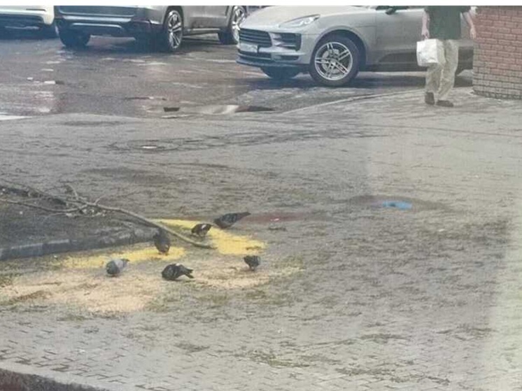 На Среднем Урале объявили штормовое предупреждение из-за сильного дождя