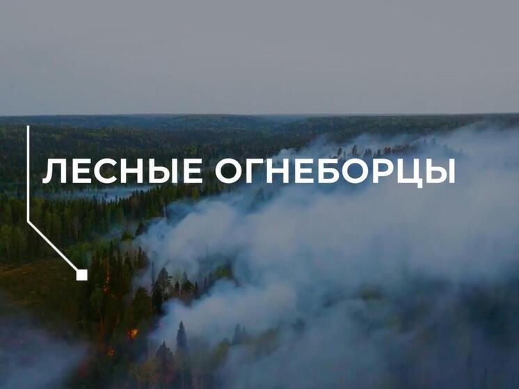 Лесной десант Единого лесопожарного центра отмечает профессиональный праздник