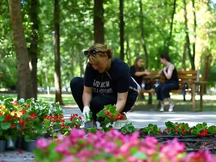 Парк имени Гагарина в Симферополе украсили более 2000 ярких бегоний