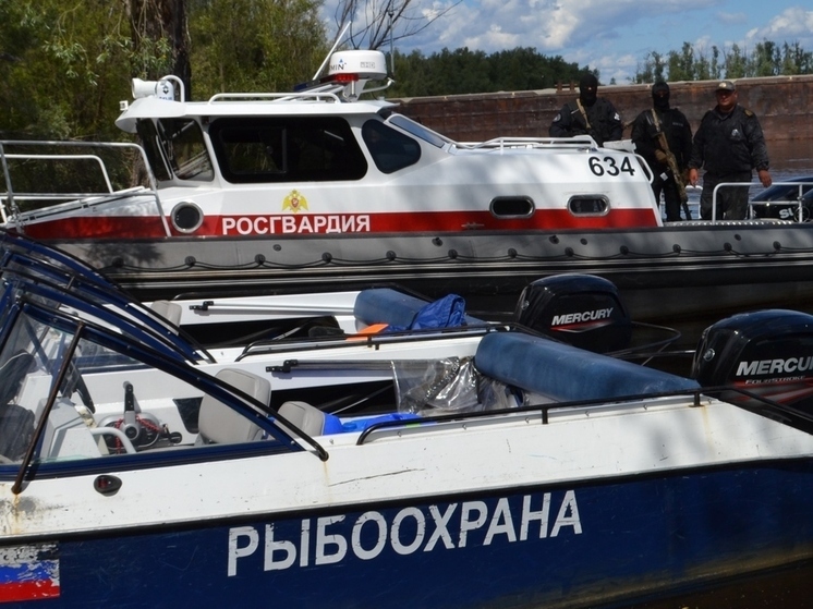 Росгвардия и Рыбоохрана усилили контроль за сохранением рыбных ресурсов в Югре