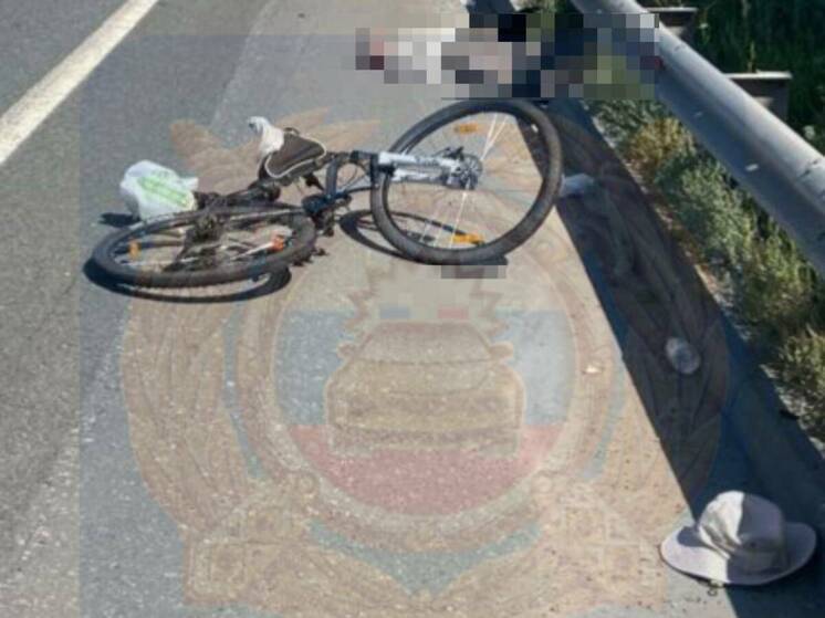 На трассе в Татарстане погиб велосипедист под колесами грузовика