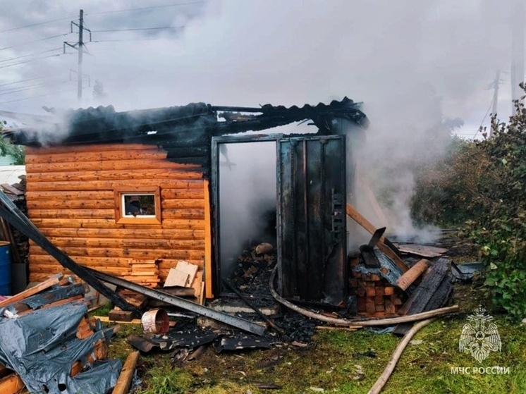 С начала этого года в Новгородской области 69 раз горели бани