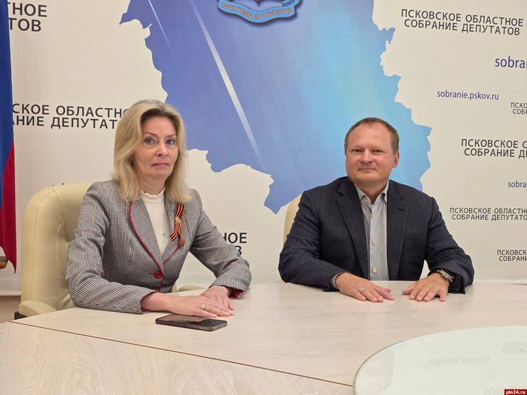 Антон Мороз обсудил вопросы развития региона с сенатором Натальей Мельниковой