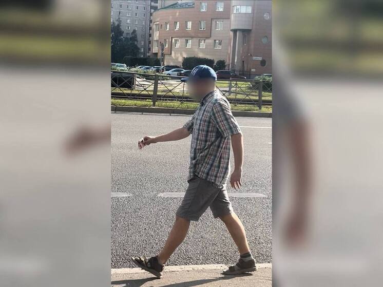 Агрессивный пикапер домогался петербурженку на улице Ильюшина