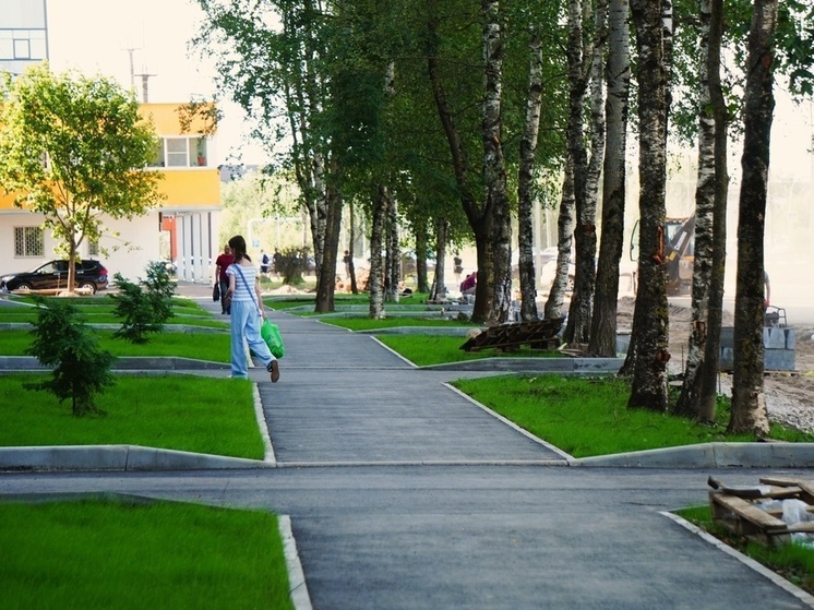 В Великом Новгороде этим летом благоустроят восемь дворов